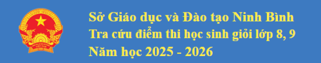 Tra cứu điểm thi học sinh giỏi lớp 8, 9